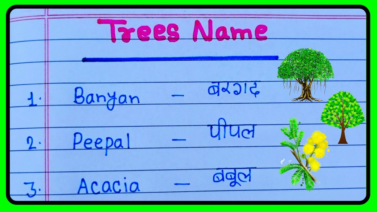 10 Trees Name In English And Hindi Trees Name In English 10-trees-name-in-english-and-hindi-trees-name-youtube