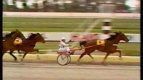 1983 Open Class Trot on Cup Day - Addington, Chris...