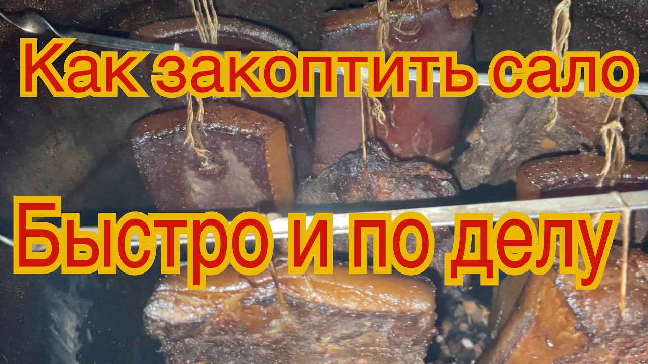 Besplatka kharkov 08 12 2014
