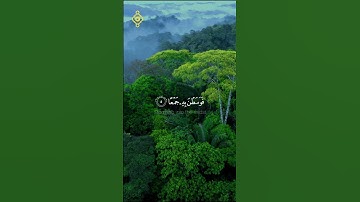 {وَالْعَادِيَاتِ ضَبْحًا...} القارئ سعد الغامدي #سورة_العاديات  #اكسبلور