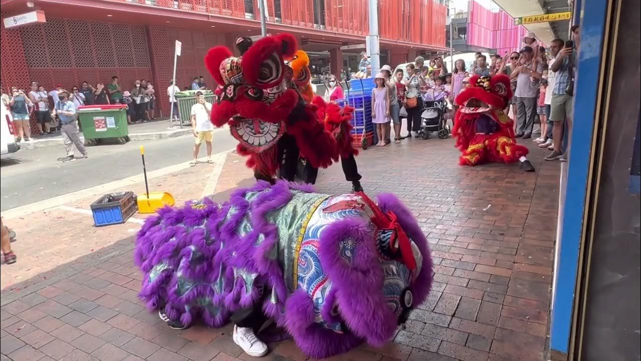 Chinese New Year Cabramatta YouTube