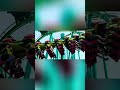 Raptor | Cedar Point
