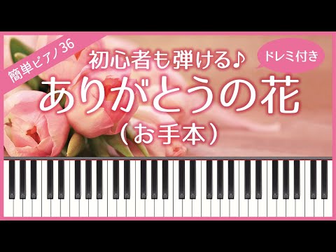 【簡単ピアノ36】【お手本】ありがとうの花（おかあさんといっしょ）・初心者向け・初級・ドレミ付き