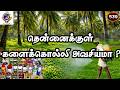 தென்னைக்குள் களைக்கொல்லி அவசியமா❓Is herbicide necessary for coconut trees 🌿#fyp #music