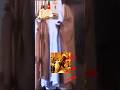 Issa Tchiroma Et Oumar Haman Saïd Maroua Maroua Garoua Ngaoundere Babawassa1 Arabie 2 
