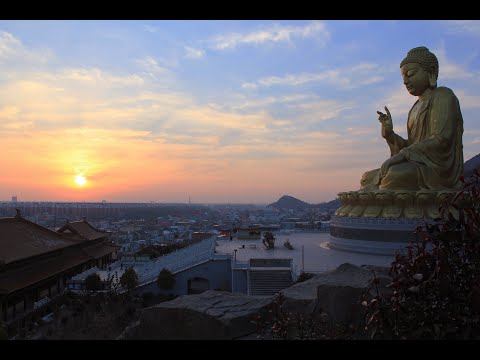 Buddha's Wisdom For A Happier Life | The Wisdom Of Soul