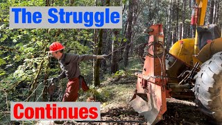 Pt 2 Solo Logging on My Timber Land w Farmi Tractor Winch Struggling w Big Incense Cedar Log