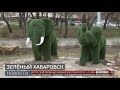 Цвести и пахнуть: городские цветы. Новости. 26/04/2024. GuberniaTV