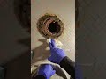 REPLACING A 67 YEAR OLD TOILET!!
