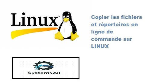 Copier les fichiers et répertoires en ligne de commande sur LINUX