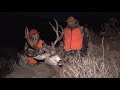 Giant Colorado Mule Deer - Hunting The Rut