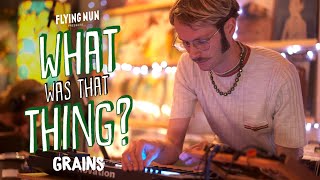 Grains perform Flying Saucer live At Flying Nun Records