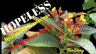 HOPELESS by Jimena Contreras [Royalty Free Music]