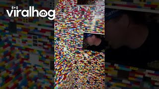 Massive Dog House Made With Building Blocks || ViralHog