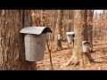 We Made Maple Syrup: START to FINISH