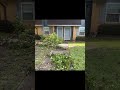 Trees Down Around The Perry Emory Hospital