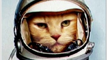 GESCOM - DISENGAGE - ARCHIVE  6 - 94 / 96