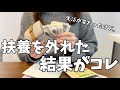 扶養抜けてフルタイムで働いた結果。メリット・デメリット全部話します📝社会保険/節約/家計管理/パート主婦