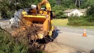 Chipping trees with Goliath