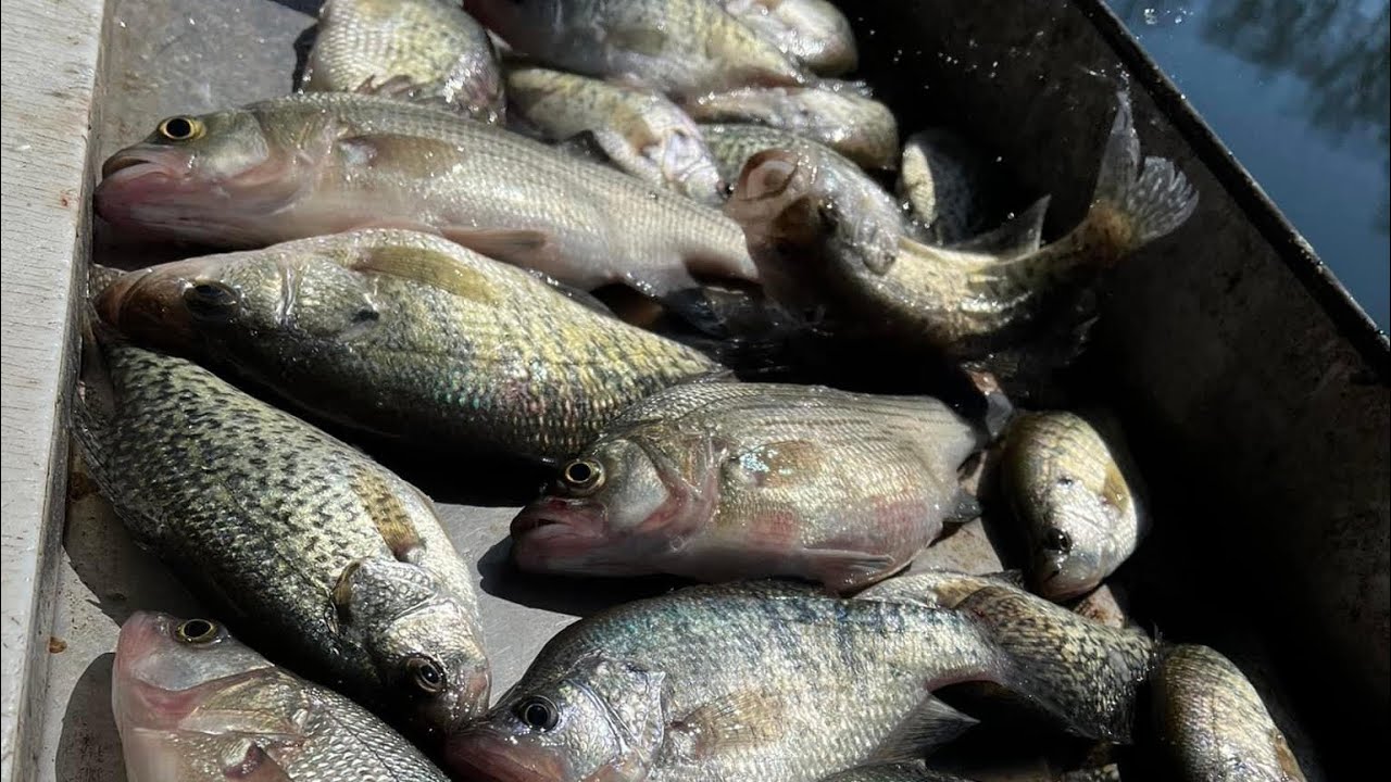 Make dock shooting jigs so easy YouTube