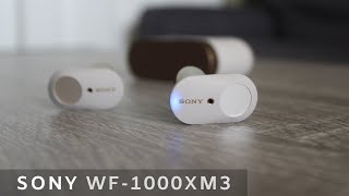 SONY WF-1000XM3 Wireless Earphones - HONEST Review