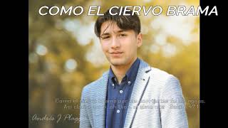 Video thumbnail of "Como El Ciervo Brama - Salmo 42 - Andrés Plagges - IEP"
