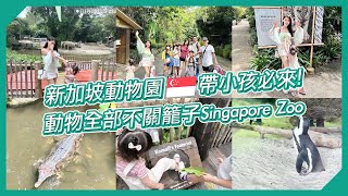帶小孩出發 亞洲最美動物園 新加坡 Singapore Zoo 超乎你的想像！ 不關籠的開放式zoo?  新加坡旅行 新加坡景點  ｜營養師出國趣✈️