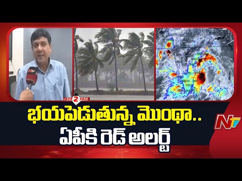 Senior IAS Ajay Jain Face to Face Over Montha Cyclone Effect | NTV Telugu - NTVTELUGU