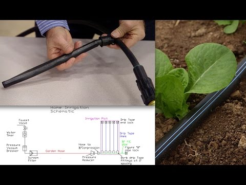 Video: Irrigation Hose: Features Of Garden Irrigation Hoses, Characteristics Of Flat-rolled And Other Models. Which One Is Better To Choose For A Vegetable Garden?