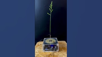 Lightning power(part4)