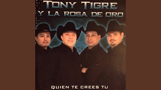 Video thumbnail of "Tony Tigre Y La Rosa De Oro - Disculpe Usted"