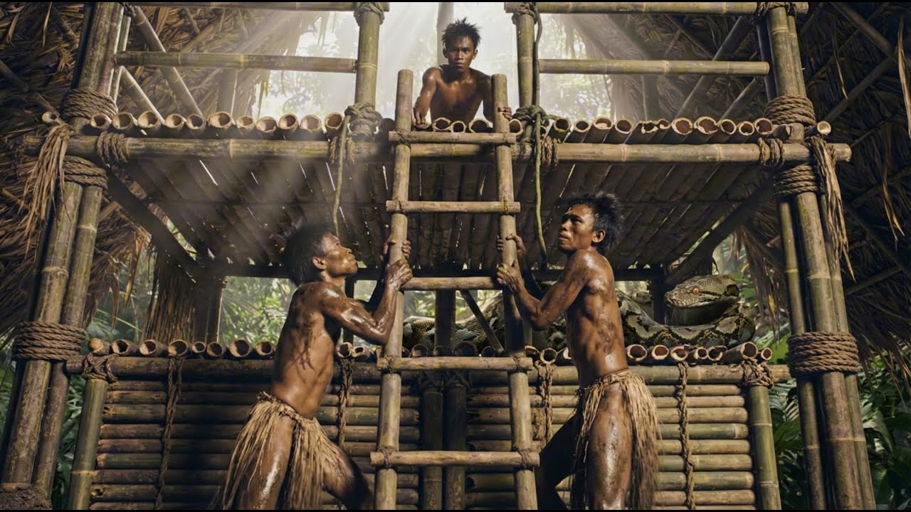 Building a 2-Story Jungle Shelter & Watchtower | Python Attack 