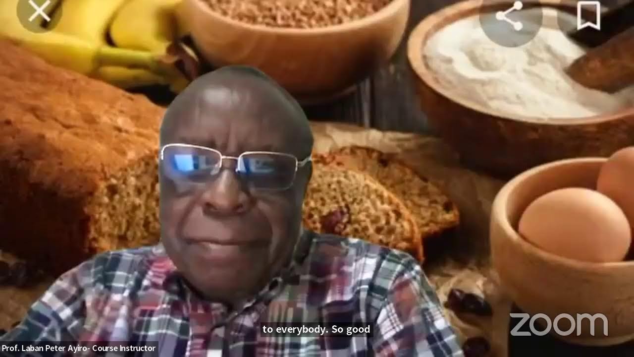 Prof. Laban Ayiro, Lecture 29 on Research: Chapter1 &  2