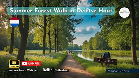 Summer Forest Walk in Delftse Hout ????I4K  | Netherlands I Shutterbugs in Norway