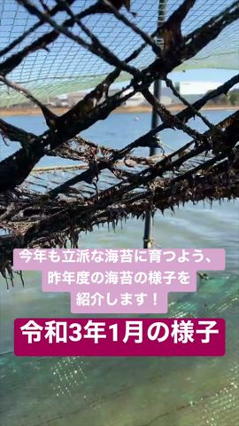 オーブントースターで海苔を焼く方法 Youtube