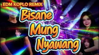 DJ BISANE MUNG NYAWANG-EDM KOPLO REMIX