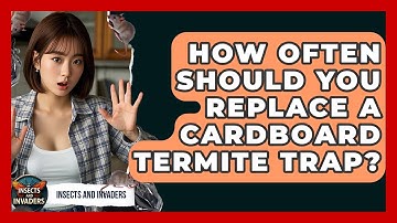 How Often Should You Replace A Cardboard Termite Trap? - Insects and Invaders