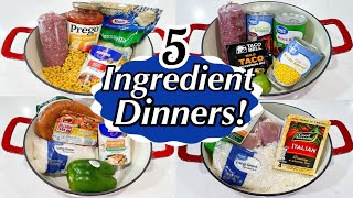 5 TASTY ONE POT MEALS | 5INGREDIENT RECIPES | DINNERS MADE FAST & EASY!! | JULIA PACHECO