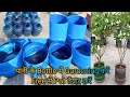 Plastic pot design!Gardening pots ideas!Garden pot design ideas