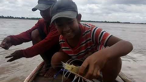 giăng câu diền bằng mồi trùn quắn dính tôm cá đầy đủ |khám phá Campuchia