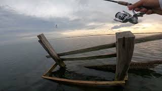 Wade Fishing the Laguna Madre by Archery Nut 32 views 1 year ago 1 minute, 3 seconds