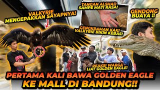 BRING THE GIANT GOLDEN EAGLE TO THE MALL IN BANDUNG! EVERYONE STEP AWAY?!