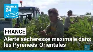 France : alerte sécheresse maximale dans les Pyrénées-Orientales • FRANCE 24