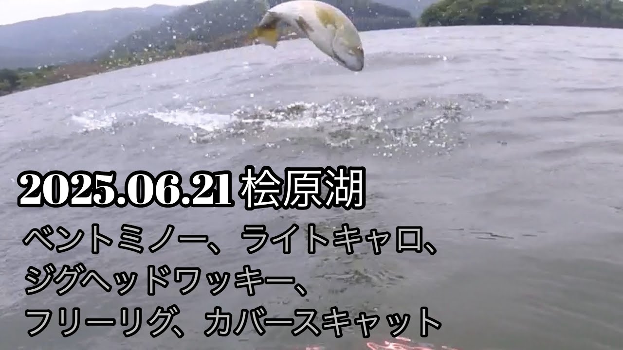 桧原湖釣行 2025.06.21 Smallmouth bass fishing in Lake Hibara