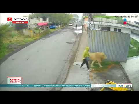 Alertan sobre la