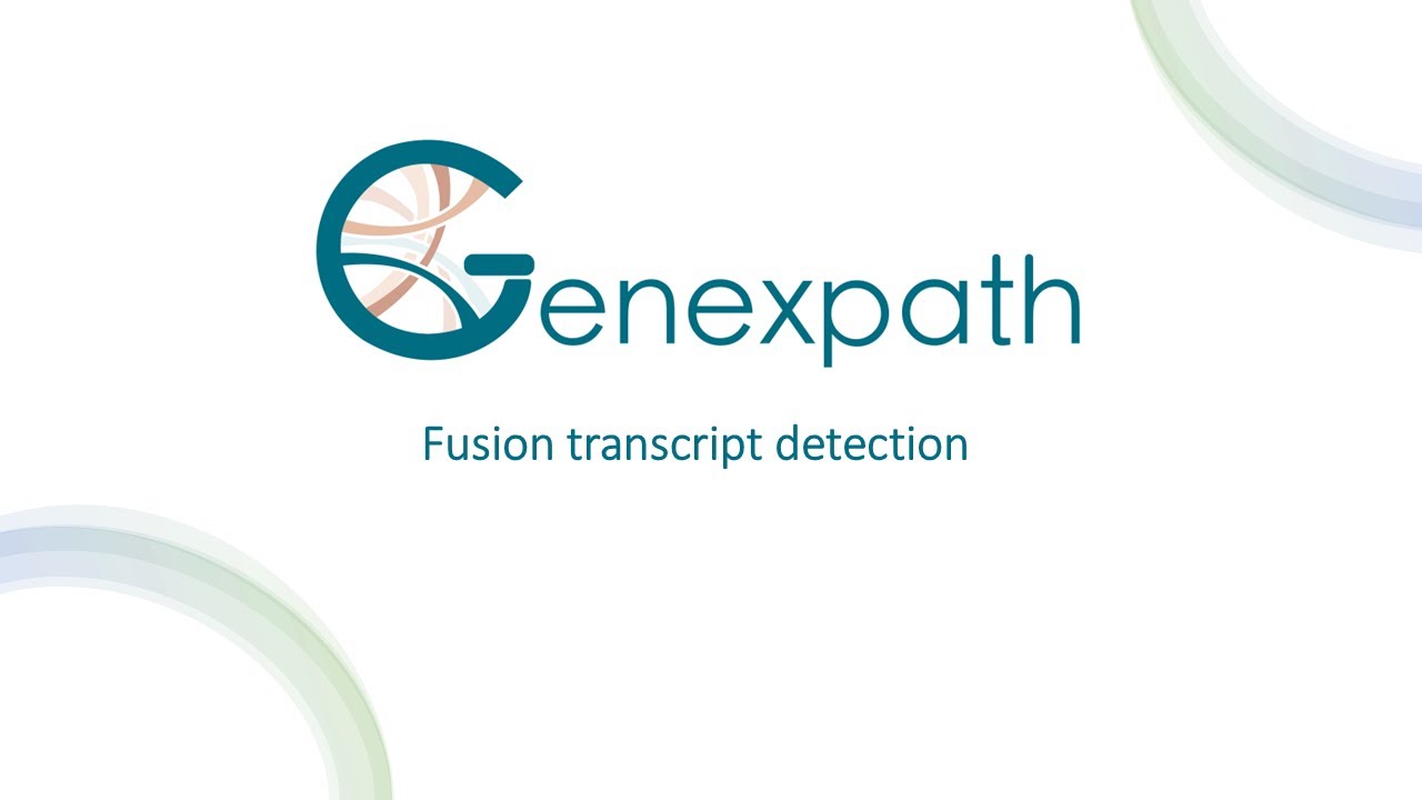 Fusion Transcripts In Vitro test implementation - YouTube