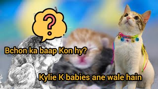 Kylie K babies ane wale hain || bchon ka baap Kon Hai || Kylie is going to be mama soon