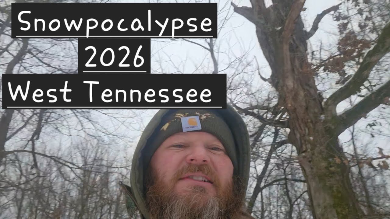 Snowpocalypse 2026 has hit west Tennessee. Take a walk with me.