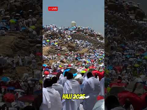 Hajj Live 2025 Hujaj Arrived In Arfat Shorts 