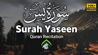 Surah Yaseen | Heart Touching Quran Recitation|The MOST POWERFUL Surah Yaseen